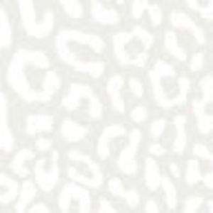 Meet your Posher, Kaydiann